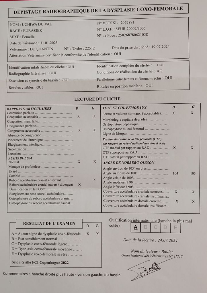 Du Val De La Fenouillere - Fin des examens de santé pour Uchïwa 