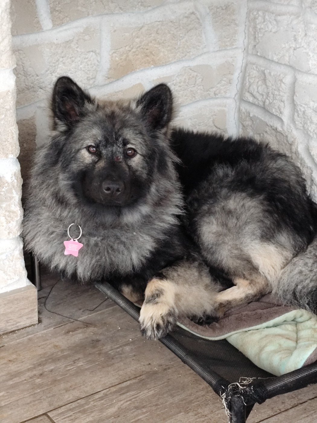 Ashkä Du Val De La Fenouillere