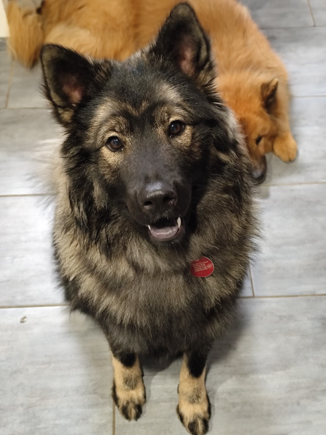 Astral Nova Du Val De La Fenouillere