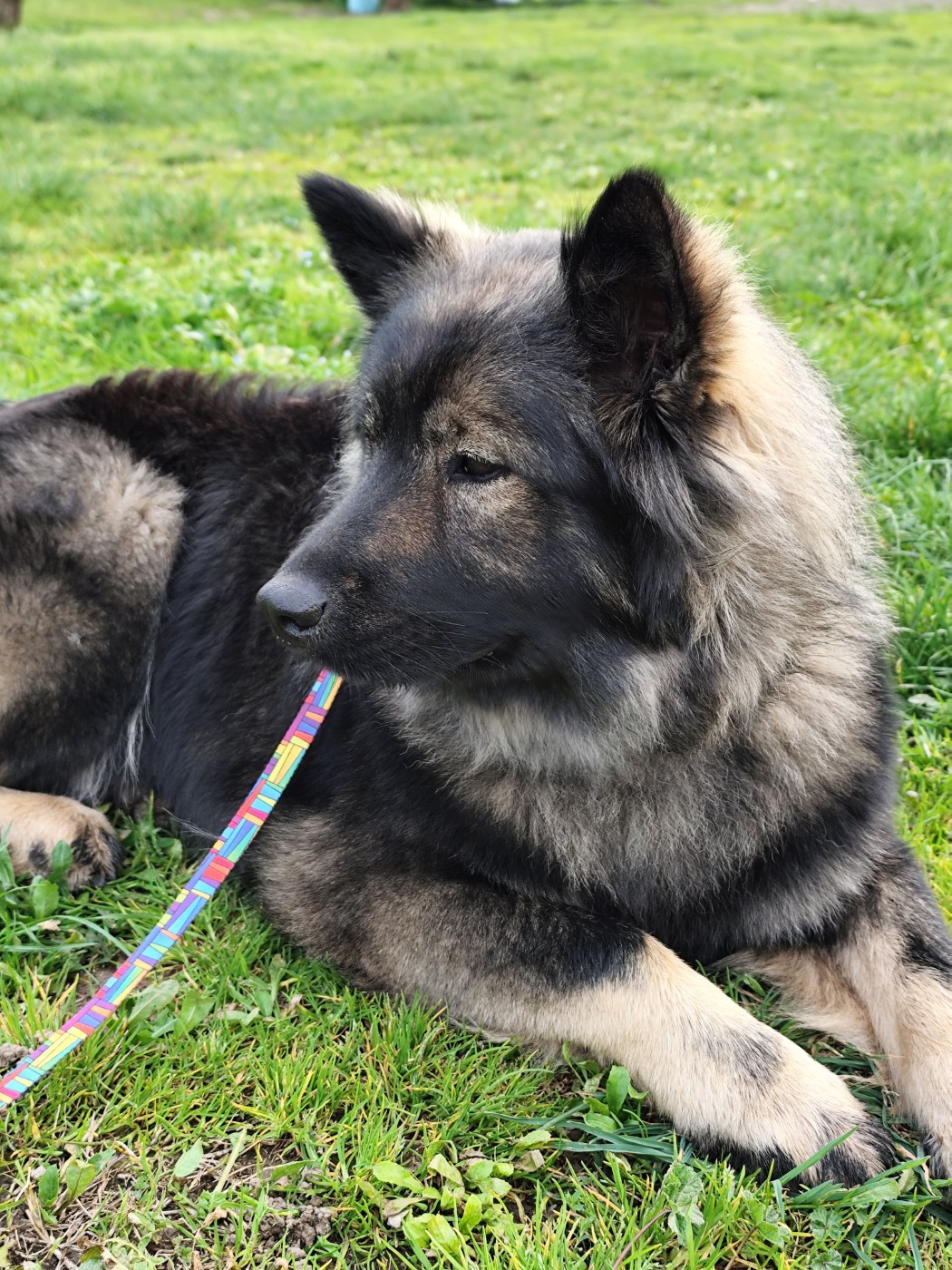 Astral Nova Du Val De La Fenouillere