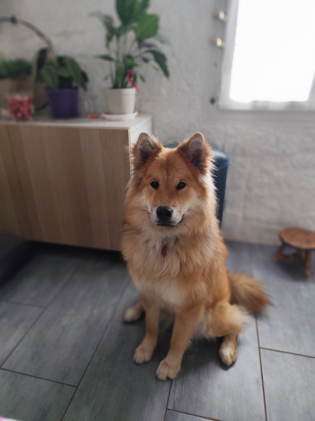 VIENTIANE Du Val De La Fenouillere