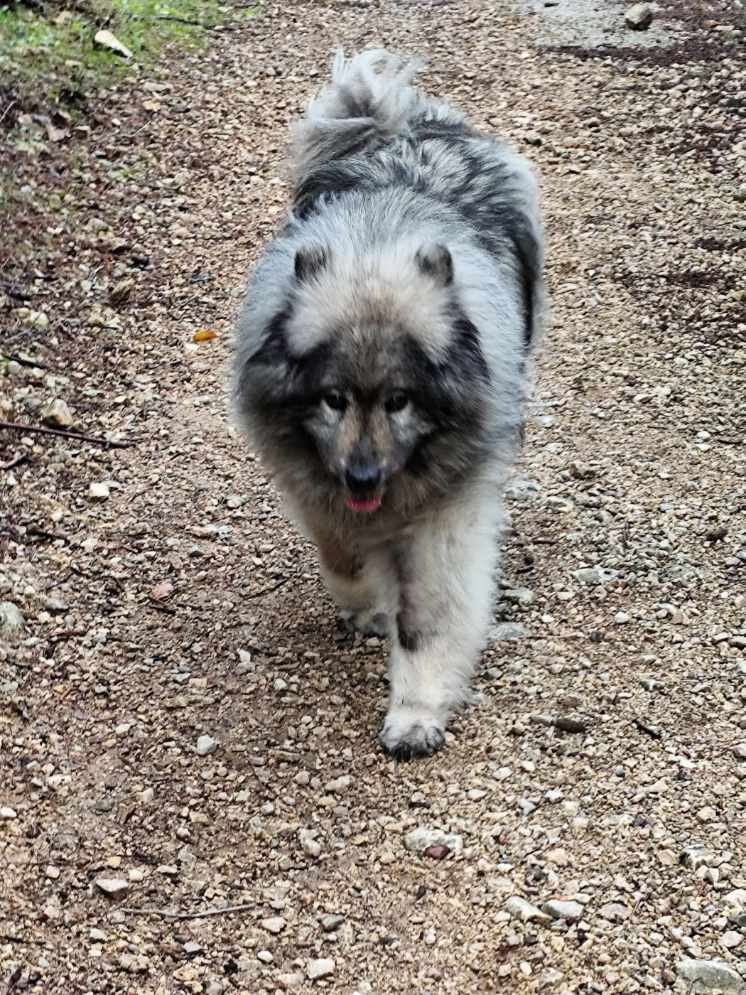 14 ans d'amour et de tendresse