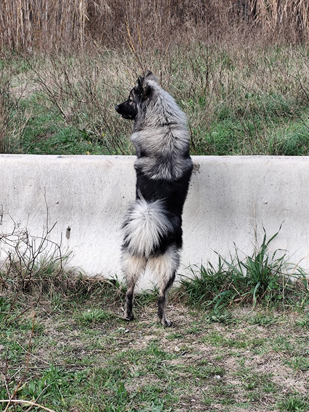 Tic tac tic tac.... ça s'approche