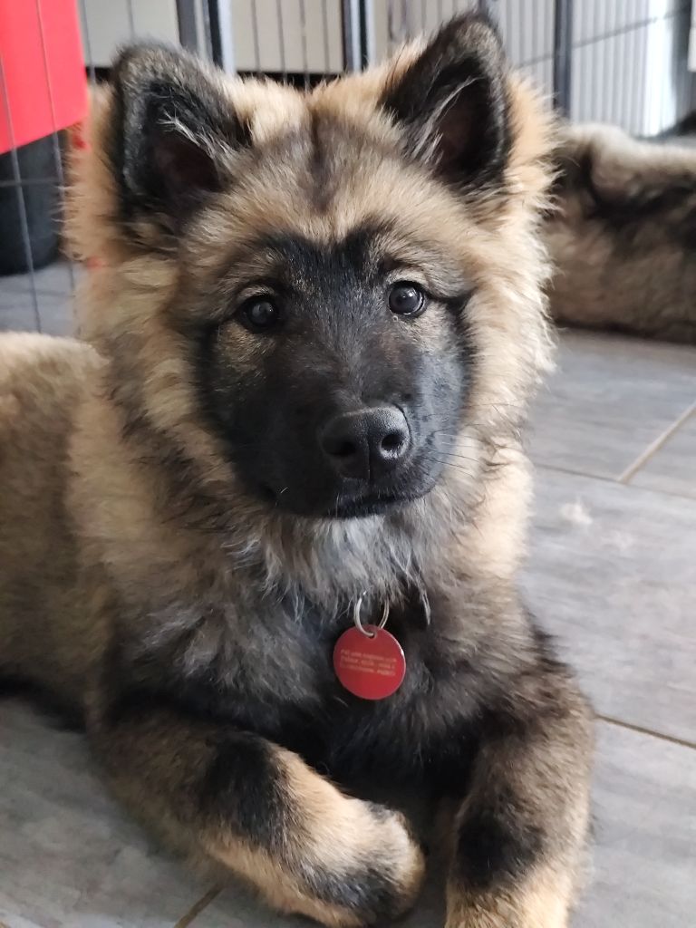 Petite poupée cherche sa nouvelle famille....