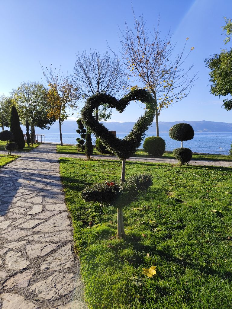 Bientôt du nouveau à l'élevage.....